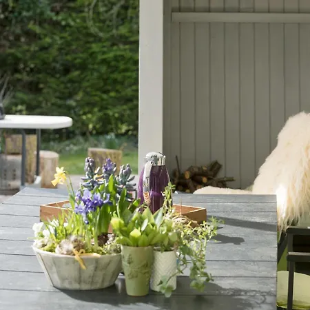 בית נופש Awesome In With Kitchen גיללייה